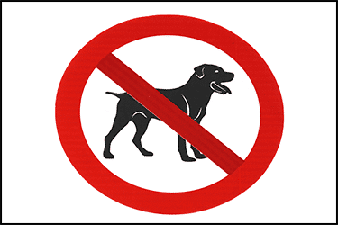 ukraine dog breeders list